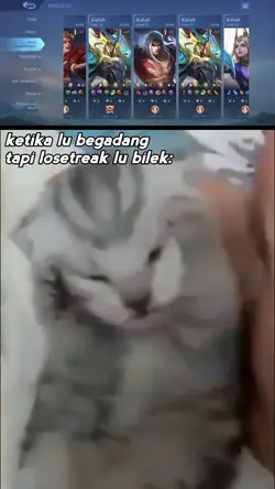 mentahan kucing lucu