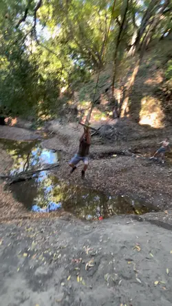 Today’s adventure 