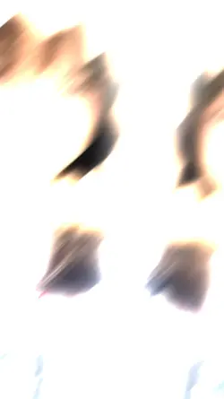 Template 33