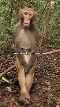 KONDISI INI MACAM