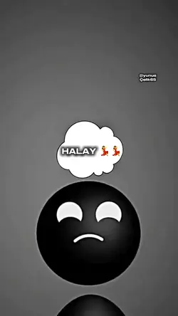 HALAY Şablonu 