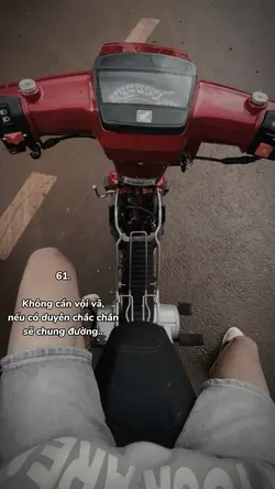 Không cần vội vã 