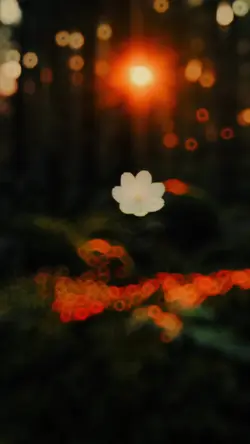Nature Therapy