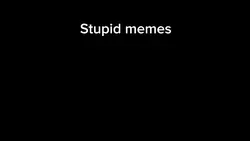 STUPID MEMES