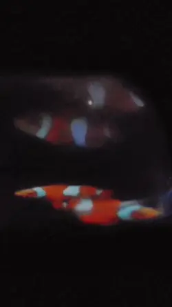 Hologram 3D