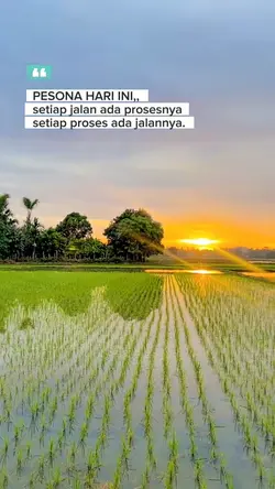 pesona hari ini