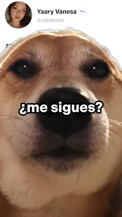 Sígueme
