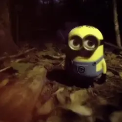 love minion