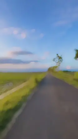 Travel