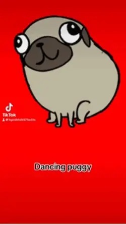 Pug 