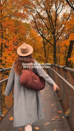 Goodbye autumn 