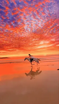 Horse Slowmo