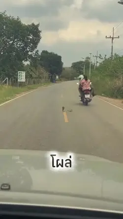 เธอโผล่มาจากไหน!!