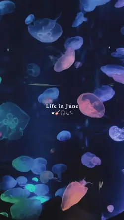 life in june