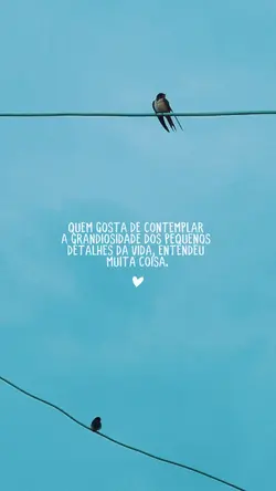 Frase•Vida