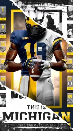 NFL Sport Poster