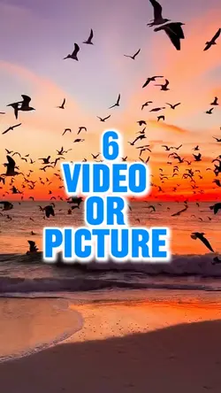 6 video new template