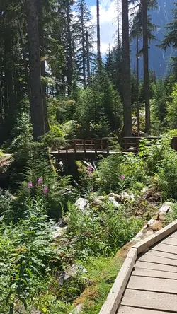 Nature 