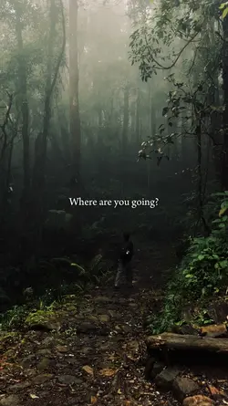 where are you going