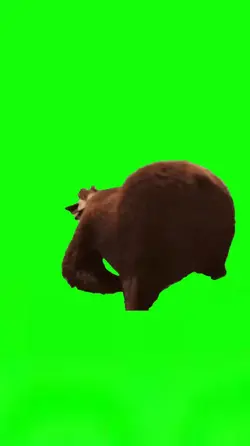 WOOOOOHOHOHO