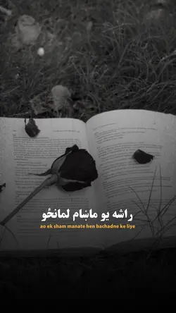 دمینې قانون🍂🌸