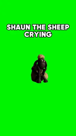 Shaun the sheep 