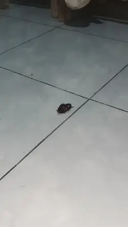Tulongggggggggg