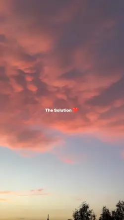 The solution 