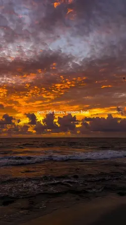 pov: sunsets heal