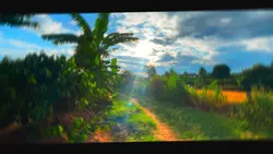 Chill sun and nature