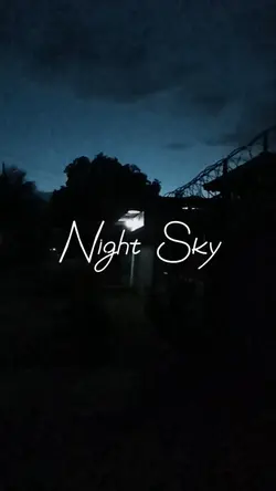 sharing the night