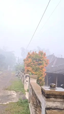 Vibes perkampungan