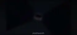 Michael afton 