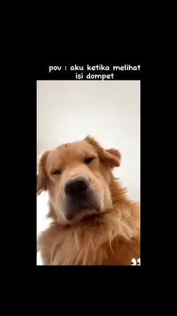 anjing tarik nafas 