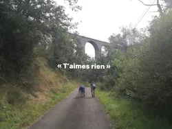 Les chevaux 💞