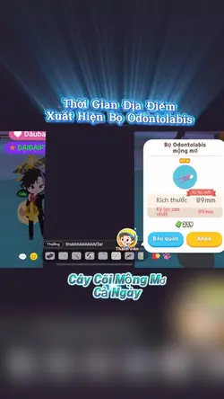 video play together