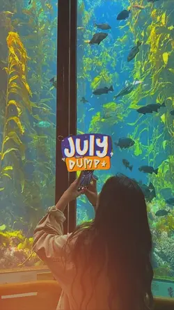 4. July recap