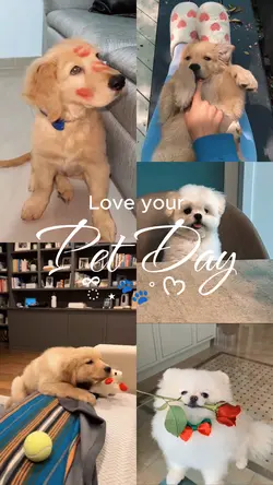 Love your pet day