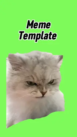 Angry cat eating