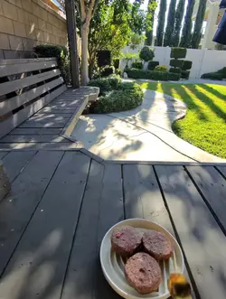 dog fodd