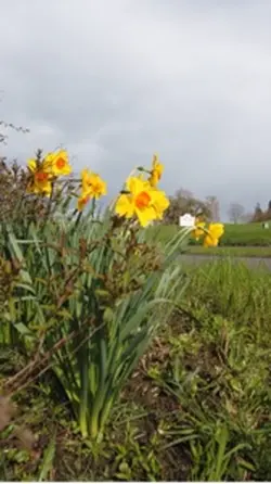 Spring Session
