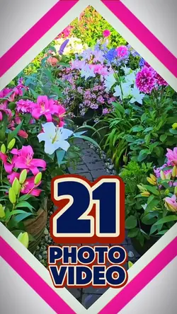 21 video or photo