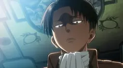 levi ackerma