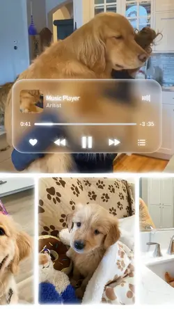 cute doggy folder