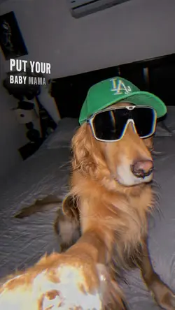 betty getmoney