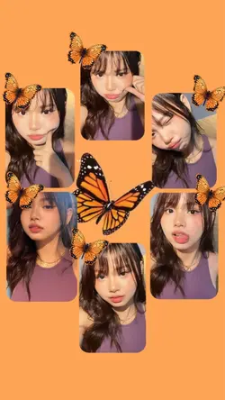 butterfly filter
