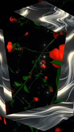 🌹🌹🌹