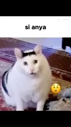 Si anya