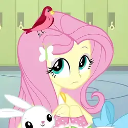 fluttershy rantt