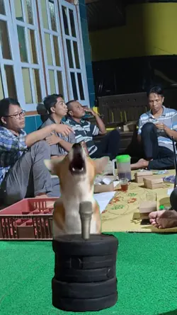 Dog Barking Loudly
